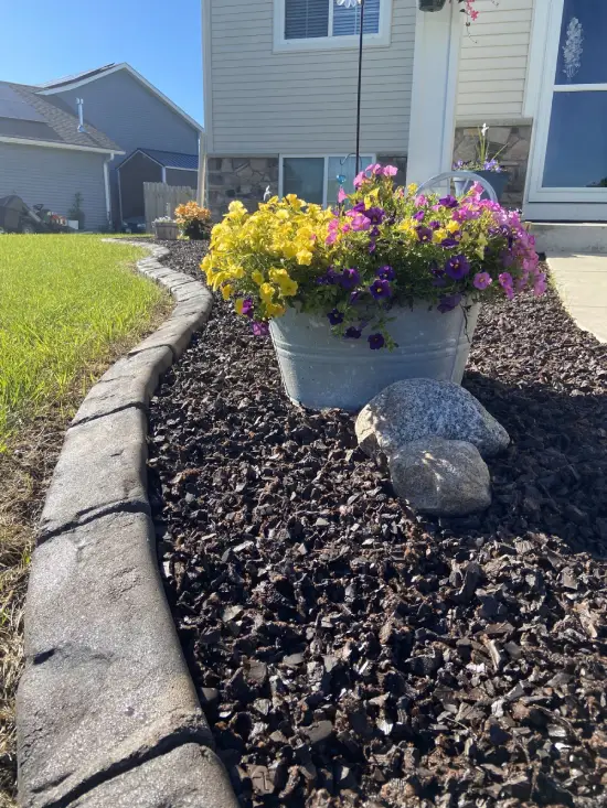 Professional Landscape Services