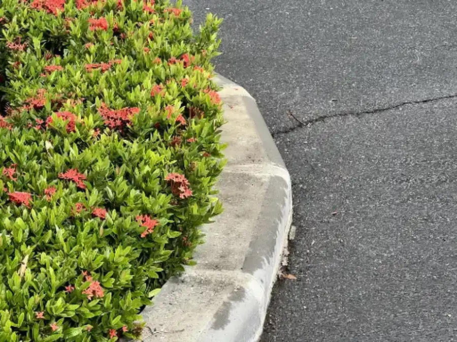 Affordable Landscape Curbing Waverly, MN