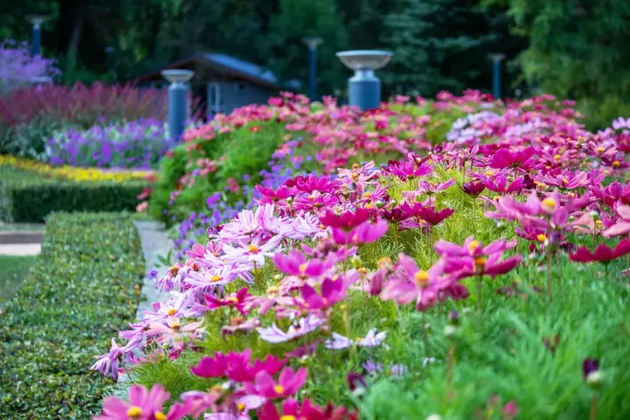 Excellent Landscape Curbing Waverly, MN