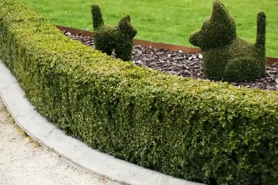 Local Concrete Curbing Waverly, MN