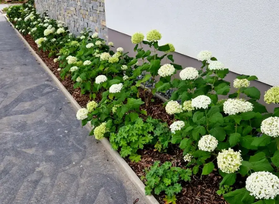 Reliable Landscape Curbing Waverly, MN