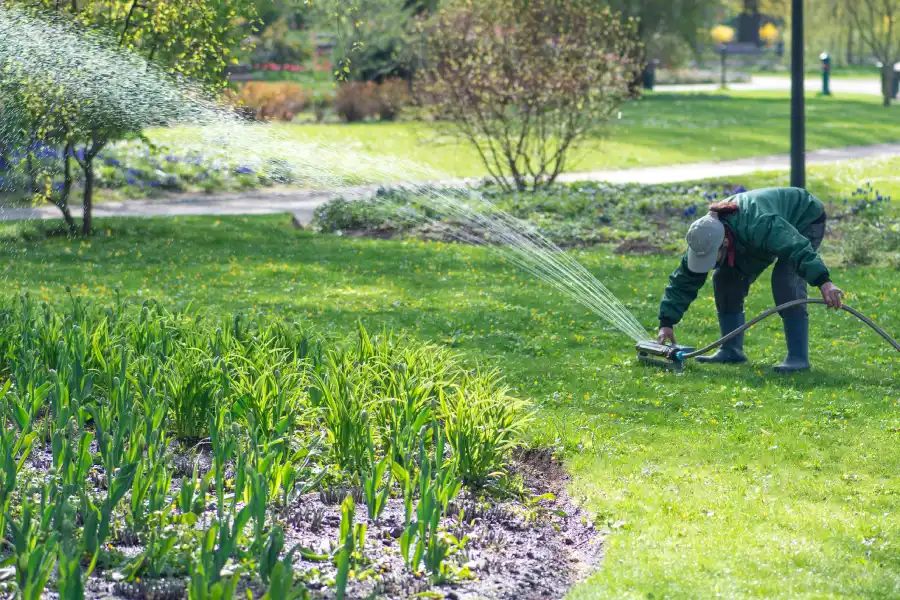 The Role of Seasonal Irrigation System Adjustments Waverly, MN